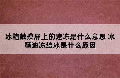 冰箱触摸屏上的速冻是什么意思 冰箱速冻结冰是什么原因